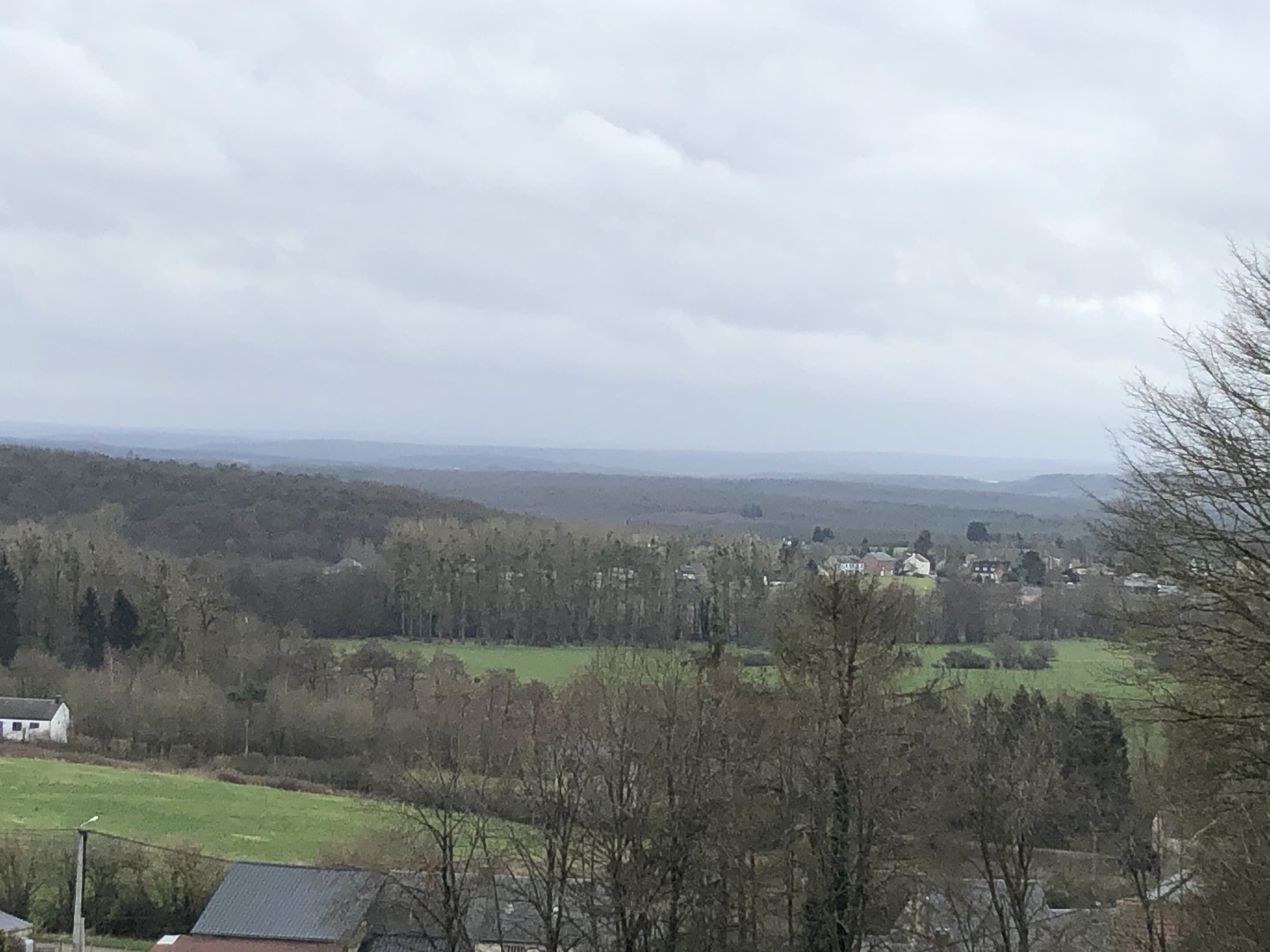 Een landelijk landschap met huizen en bomen.