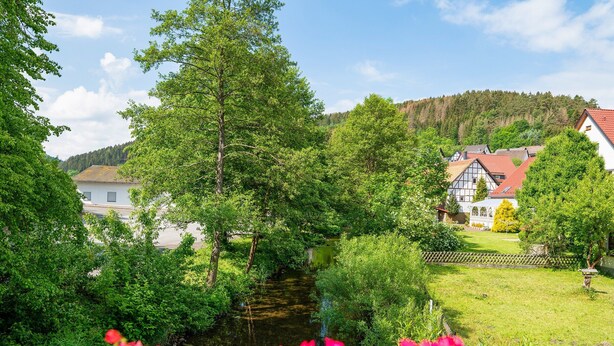 Paisaje rural con un río, abundante vegetación y casas tradicionales con tejados rojos.