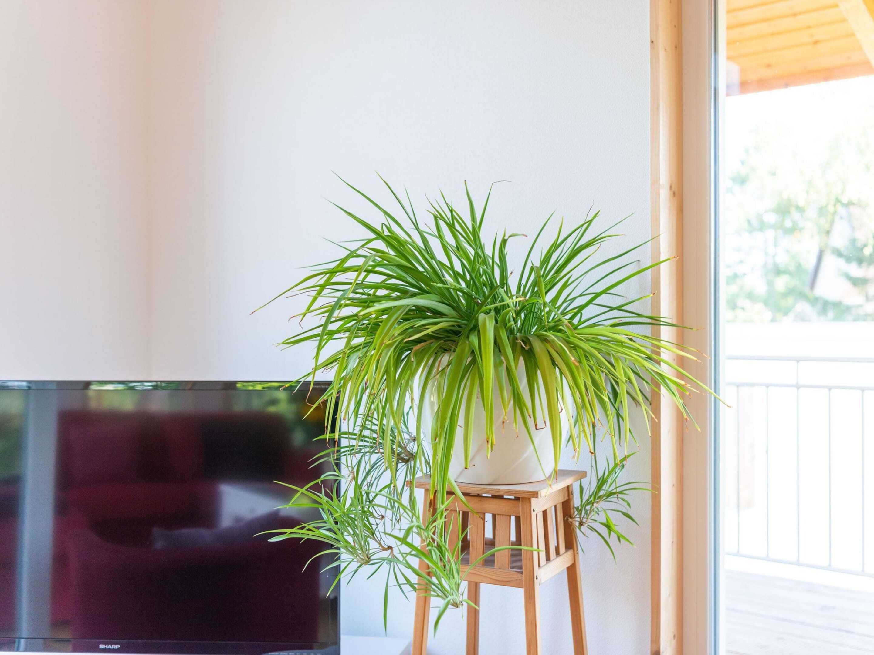 Rumah | Detail interior