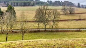 Unclassified image, 3 of 28, button - Alluring Holiday Home in Winterberg With Garden (Winterberg)