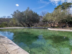 Pool - Secluded Holiday Home in Saint-antonin-du-var With Whirlpool (Saint-Antonin-du-Var)