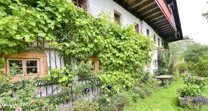 Captivating Apartment in Altreichenau With Garden