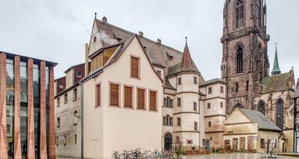 Sober Holiday Home in Selestat Near Humanist Library