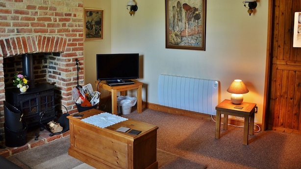 TV, fireplace, DVD player - Lovely Holiday Home in Spalding With Private Garden (King's Lynn)