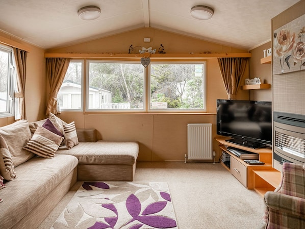 Mobile Home | Living room