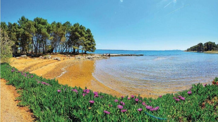 Adriatic Island Stay With Pool