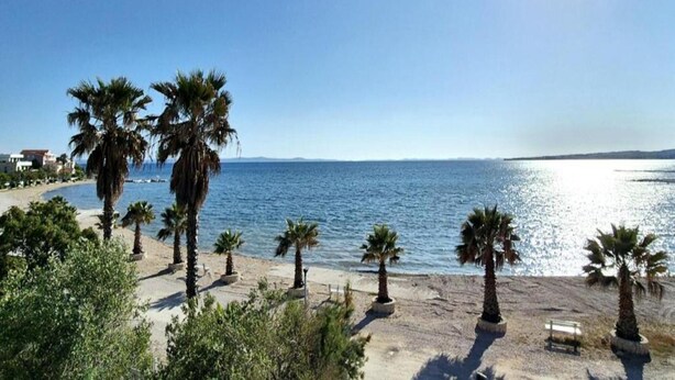 A beach with palm trees and a clear view of the sea. - Seaside Comfort on Vir Island (Vir)