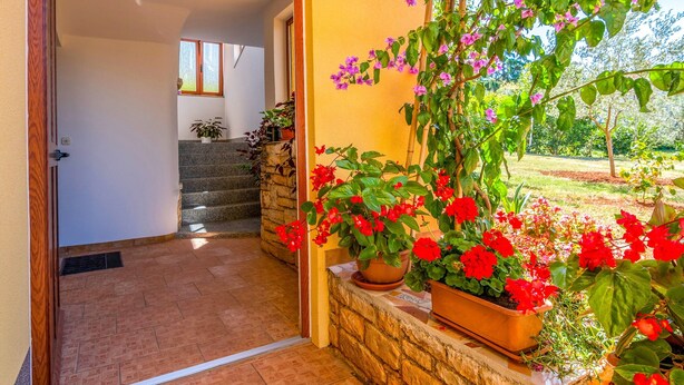 A hallway leading to a room with a stone wall and potted plants.