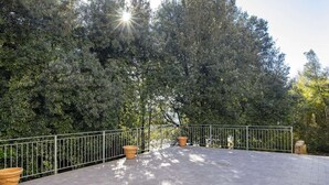 Zona exterior pavimentada amb barana de metall, envoltada de vegetació densa.