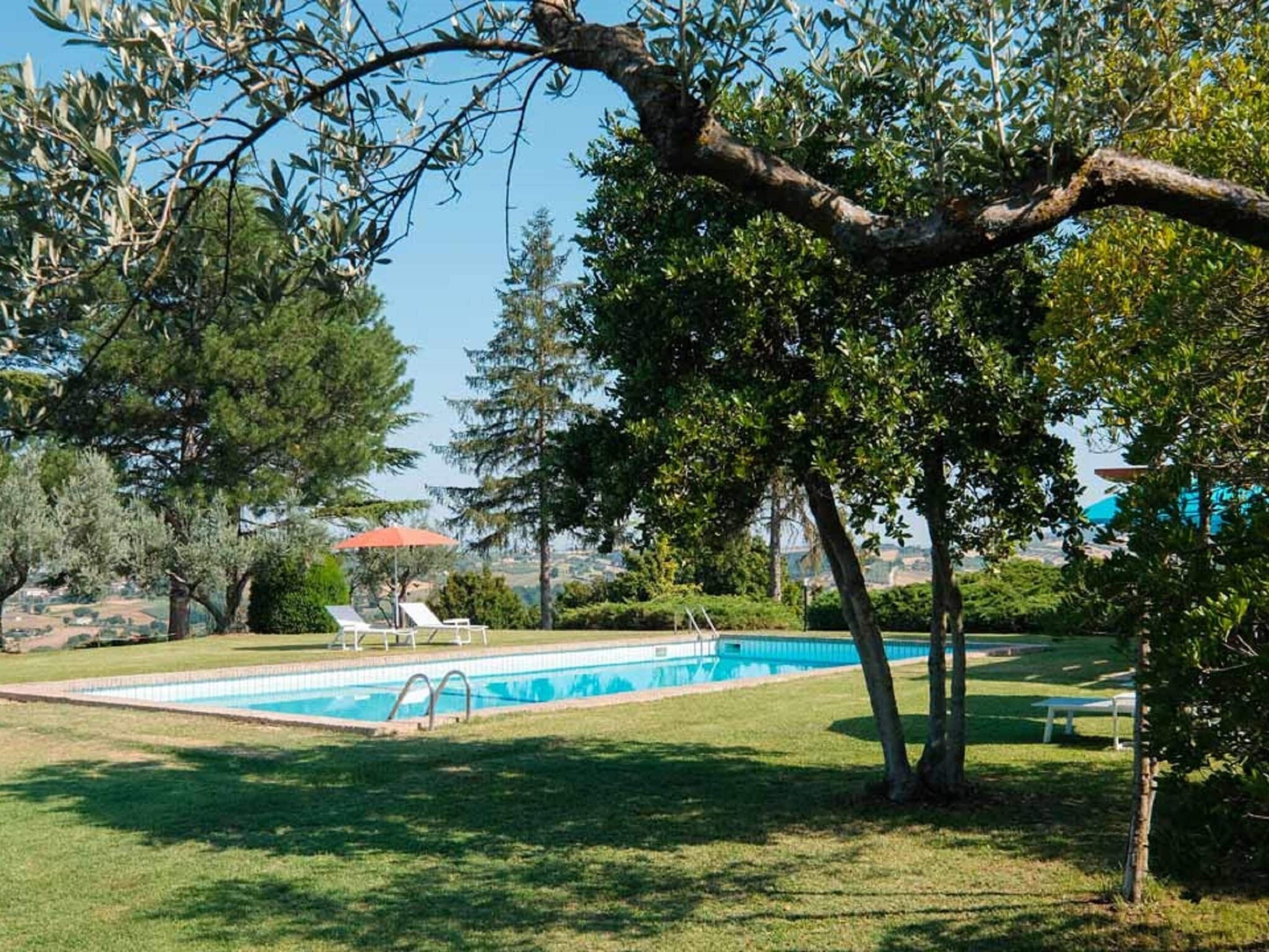 A swimming pool surrounded by grass and trees, with a clear sky in the background.