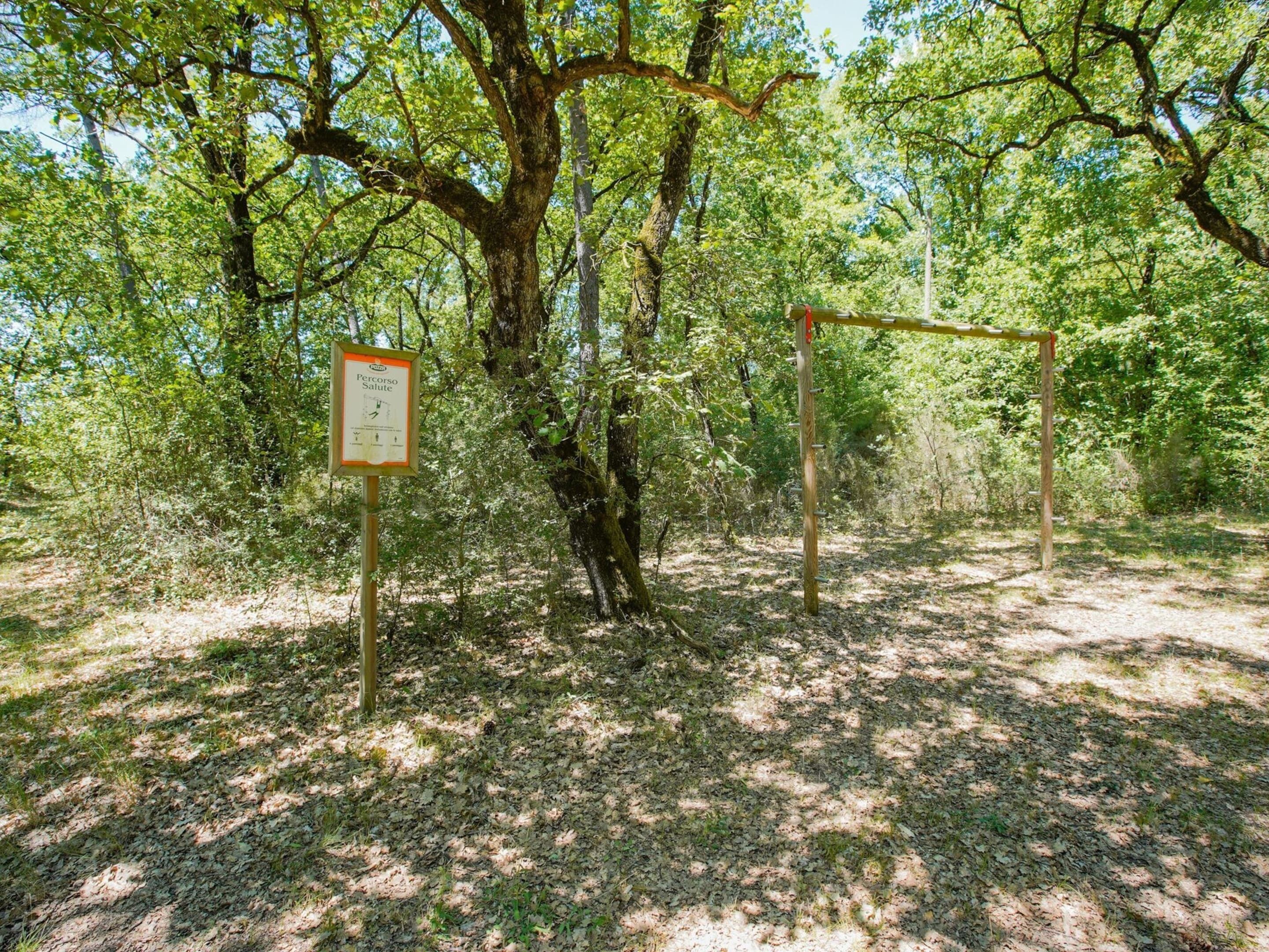 Un cadre naturel avec une balançoire en bois et un panneau indicateur dans une zone boisée.