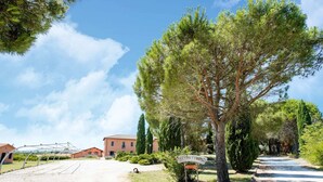 Una propiedad rural con camino de grava, un gran árbol y un edificio al fondo.