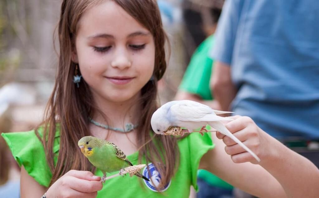 children’s activities