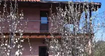 Homely Farmhouse in Mioglia With Garden