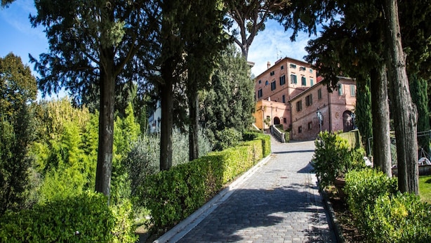 Exterior - Rustic Apartment With Pool and air Conditioning (San Miniato)