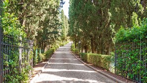 Reception - Rustic Apartment With Pool and air Conditioning (San Miniato)