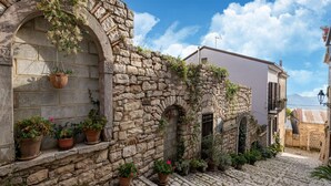 Ein Steinhaus mit rustikalem Charme, mit Kopfsteinpflasterweg und Blumentöpfen.
