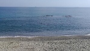 Unclassified image, 3 of 39, button - Lovely Villa in Messina near Sea Beach (Messina)
