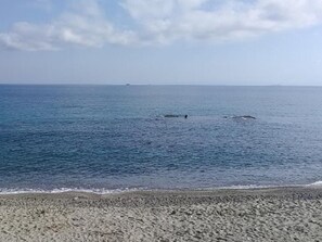 Exterior - Lovely Villa in Messina near Sea Beach (Messina)