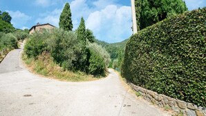 A narrow, paved road flanked by dense greenery and a stone wall.