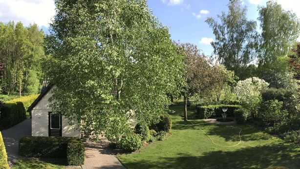 Un jardin bien entretenu, avec un sentier menant à un petit bâtiment, le tout entouré d’une végétation luxuriante et de plantes en fleurs.