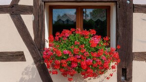 Exterior - Comfortable Holiday Home in Petit-croix Near Novillard (Petit-Croix)