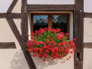 Exterior - Comfortable Holiday Home in Petit-croix Near Novillard (Petit-Croix)