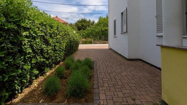 Un camino pavimentado conduce a un edificio blanco con persianas, rodeado de abundante vegetación y un cielo despejado.