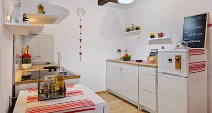 Traditional Holiday Home in Zagreb With Garden