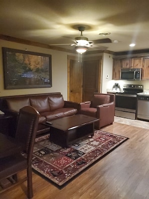 TV, fireplace, DVD player