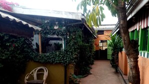 A narrow alleyway with a chair and potted plants, surrounded by buildings with green and orange walls.
