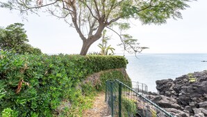 Un sentier côtier bordé d’un grand arbre, d’une haie et d’une rambarde d’où l’on peut admirer la mer.
