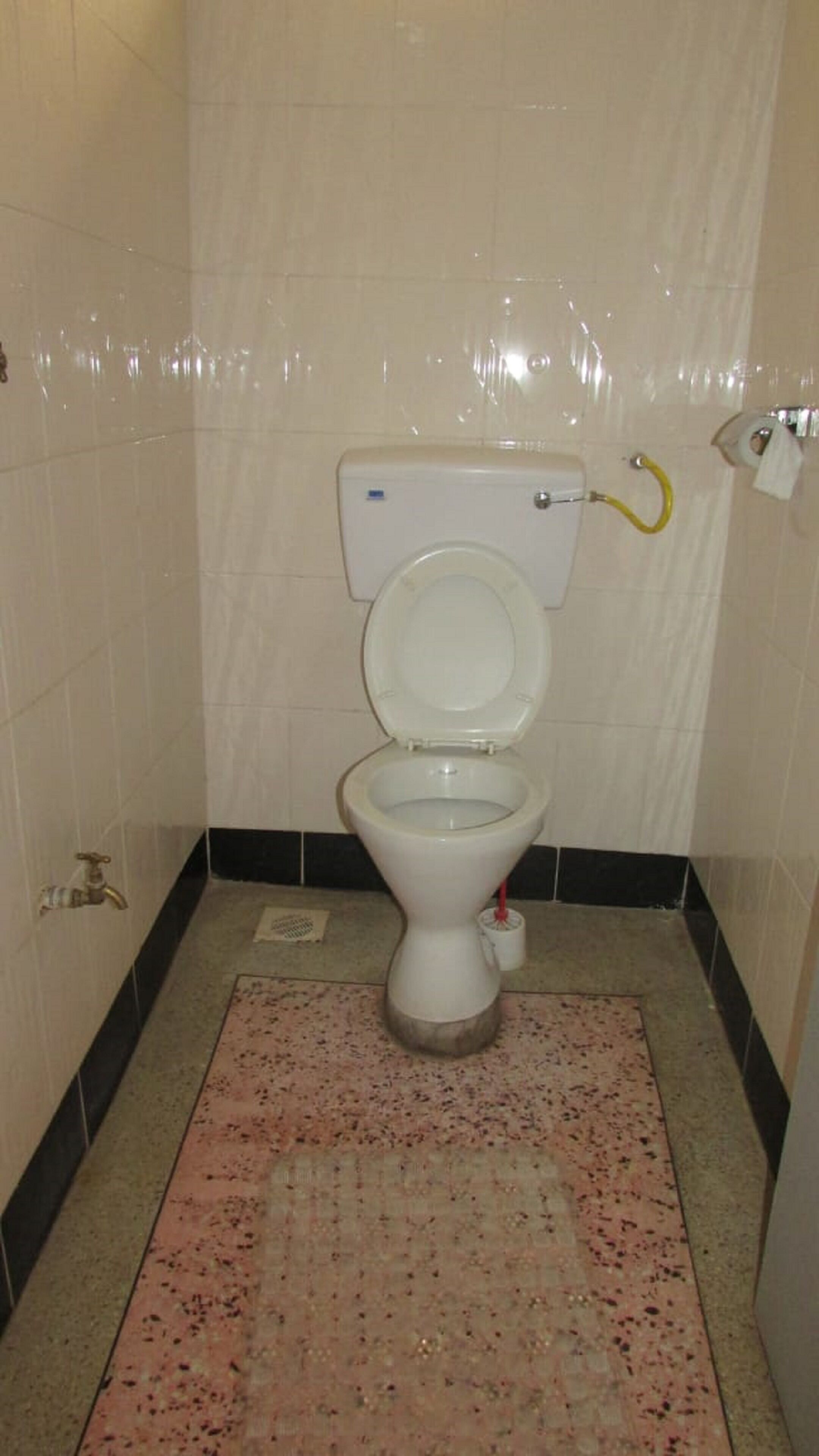 A small, tiled bathroom with a white toilet, a yellow bidet hose, and a pink speckled rug on the floor.