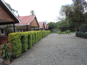 A gravel pathway flanked by neatly trimmed hedges and wooden buildings with red roofs. - Lions Court Lodge (Nanyuki)
