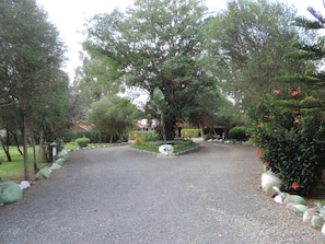 Uma entrada de cascalho leva a um edifício cercado por vegetação exuberante e plantas floridas.