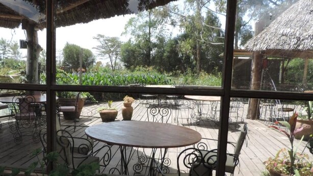 A covered outdoor patio with a round table and chairs, surrounded by potted plants and a view of a garden. - Lions Court Lodge (Nanyuki)