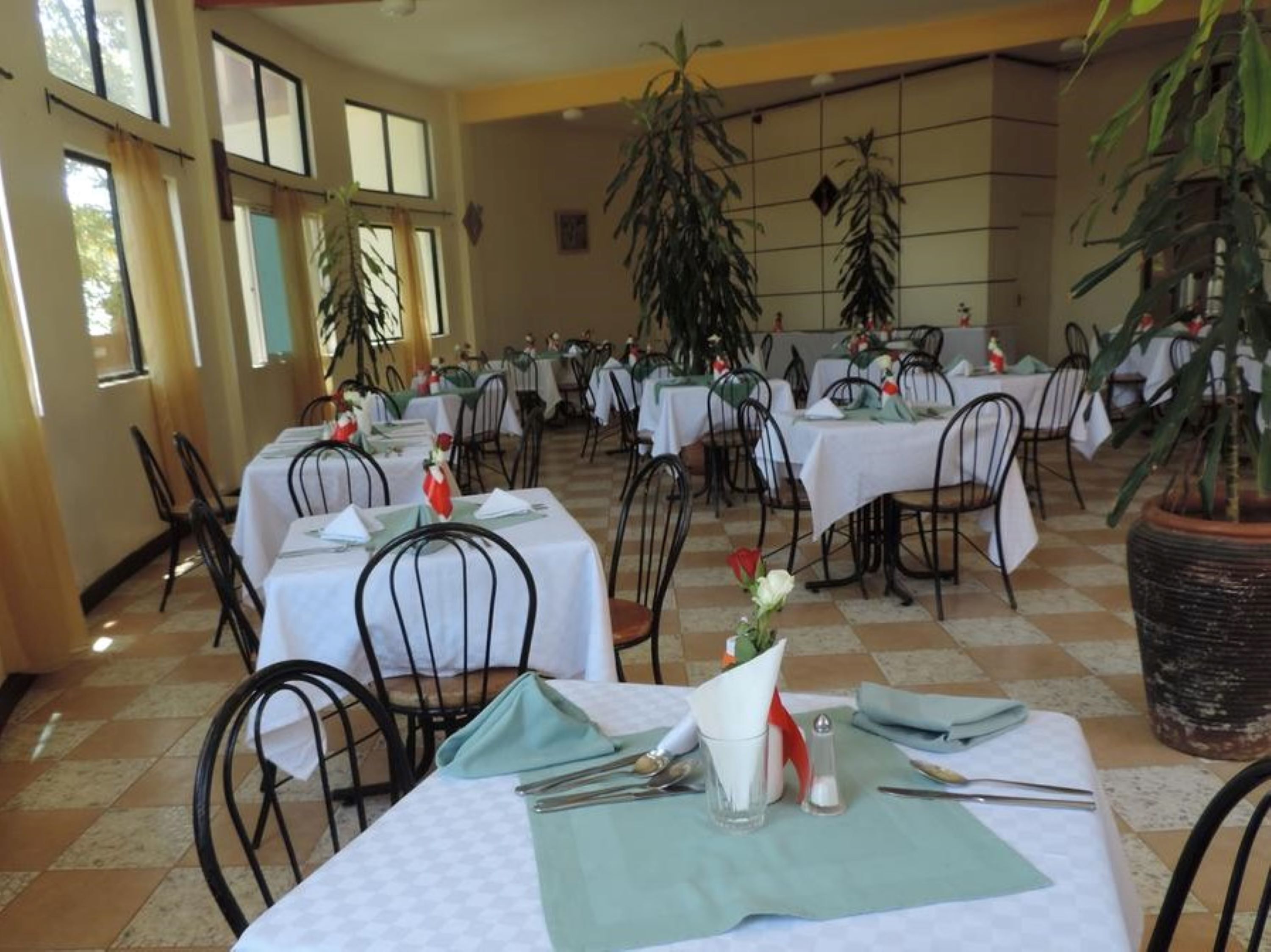 A dining area with multiple tables and chairs, large windows, and potted plants.
