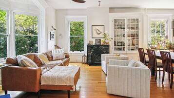 TV, fireplace, books