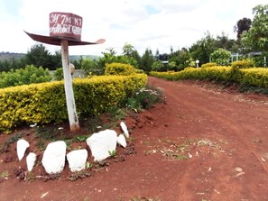 A dirt path flanked by neatly trimmed hedges and white rocks, leading to a sign with text. - Mseven Gardens M7 (Nyahururu)