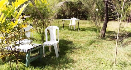 Mseven Gardens M7