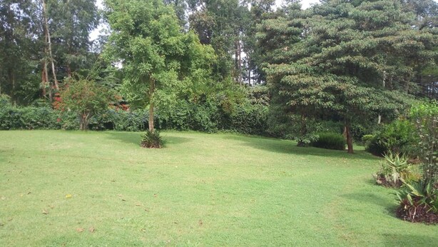 A well-maintained grassy area with various trees and shrubs, likely part of a garden or park setting. - Muremba Retreat Kitale (Kitale)