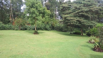 Tuin