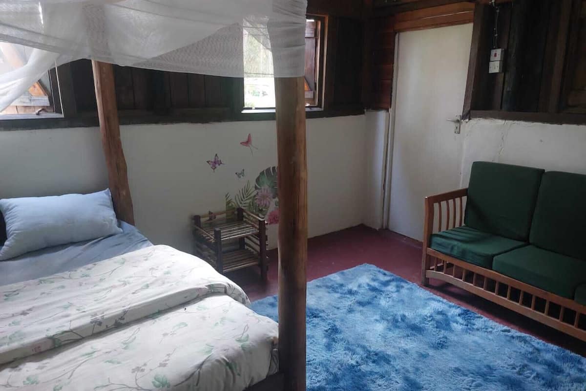 Una habitación con una cama, un sofá verde, un tapete azul y un banco de madera.