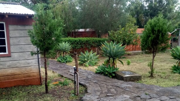 A stone pathway leading to a wooden cabin with a metal roof, surrounded by various plants and trees. - Mwaki-Mugi Hotel & Campsite (Nakuru)