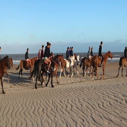 Escursioni a cavallo