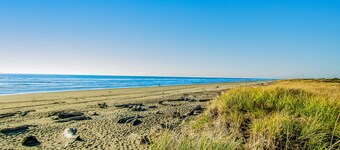 Open & airy condo w/ private balcony, jetty view, & quick access to the beach