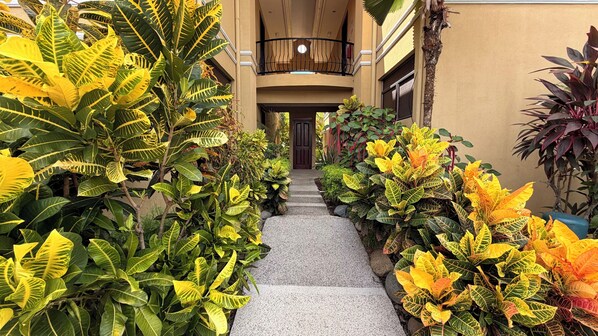 Caminho ladeado por folhagem verde e amarela exuberante, levando a uma entrada de edifício.