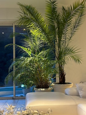 Interior - Villa in the hills of Nice (colomars)
