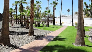 A pathway lined with palm trees and a grassy area, leading to a white building with a flat roof. - Starfish Friendly Holiday Home (Playa del Inglés)