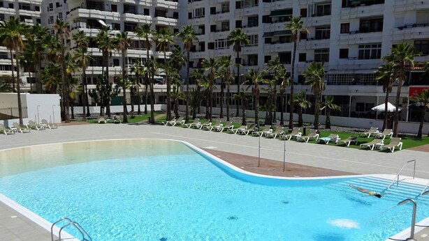 Una piscina a forma di curva, circondata da poltrone prendisole e palme.